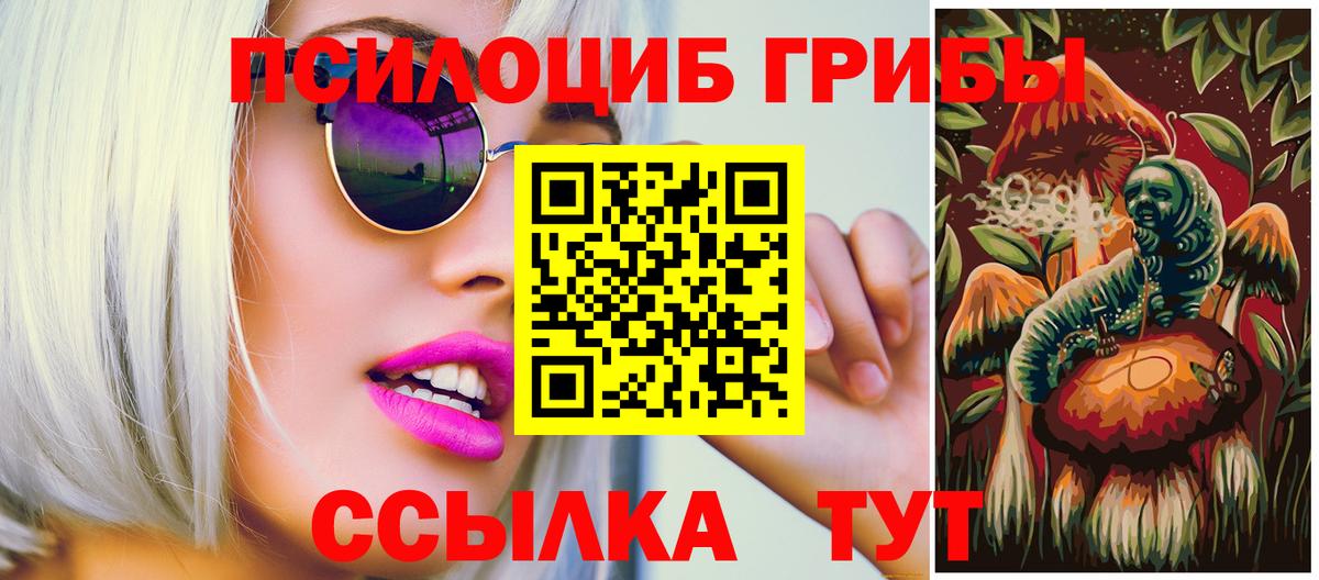 Галлюциногенные грибы Psilocybine cubensis Ипатово